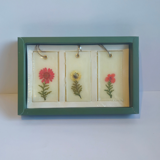 Morning Daisies - Scented Floral Wax Sachet Gift Set